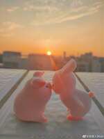 https://images.plurk.com/32p3kZGCsgMxnMrT7Vejkx.jpg