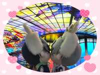 https://images.plurk.com/32r45bfyRM8L1etxLc2Eyx.jpg
