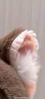 https://images.plurk.com/32vP0Gm9tGmDbNtwMjK8Zn.png