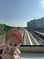 https://images.plurk.com/32wCM3hZz8v7ShxyCDDyEo.jpg