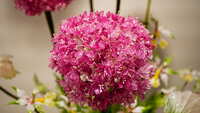 https://images.plurk.com/32x6QpZMEfvdjTH2dXGAPL.jpg