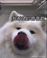 https://images.plurk.com/32zOx79HpiOWDkgkWIPVtm.jpg