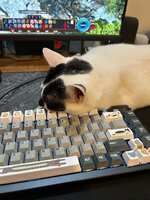 https://images.plurk.com/32zRHorrTWko9IKJANfmUJ.jpg