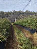https://images.plurk.com/33267jTVrlyLPyrK2gUNbB.jpg