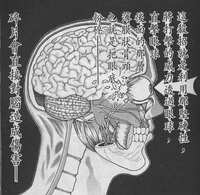 https://images.plurk.com/33G7bBuHbu1FrT9TelymdH.png