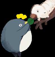 https://images.plurk.com/33MmhbXO4XR7bOYIXOWHmj.png