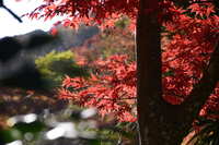 https://images.plurk.com/33NHgZ2tQ1RVkKoRDjtjwo.jpg
