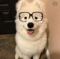 https://images.plurk.com/33gQn787qosNMgG8zrOc3h.jpg