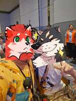 https://images.plurk.com/33ibxYwJArh19959MviDzv.jpg