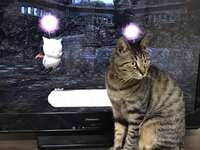 https://images.plurk.com/33jUzbXbUAXs8C8b82DTkA.jpg