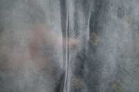 https://images.plurk.com/33lQR7v3vyHZWDYE7LoGUC.jpg