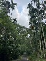 https://images.plurk.com/33nKOyticrIrIxXbqdys8m.jpg