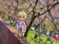 https://images.plurk.com/33znlelBa8b10RozAxLTLO.jpg