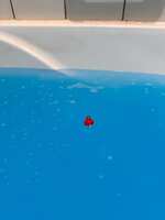 https://images.plurk.com/343CPzpagL9FrSk3J8vCPm.jpg