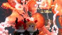 https://images.plurk.com/34CrJtlrHiMCrN4cbtHbDF.jpg