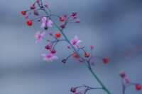 https://images.plurk.com/34IaUA9excYSoMMtxwuPcG.jpg