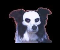 https://images.plurk.com/34KgehHAgaz5yTOyGySazf.png