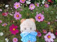 https://images.plurk.com/34MFjhs0cMrlLqxEI6AF50.jpg