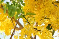 https://images.plurk.com/34MoSPQahjjhtwniV4xnkB.jpg