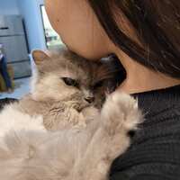 https://images.plurk.com/34PnQR1jHL6elrnHuObLlu.jpg