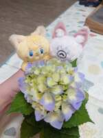 https://images.plurk.com/34QsKp2yNExQtKenpPbk9s.jpg