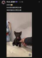 https://images.plurk.com/34Ro8sONXSLrJmb6cHVsh8.jpg