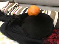 https://images.plurk.com/34S0LJF1Cv9RnTRSCc093I.jpg