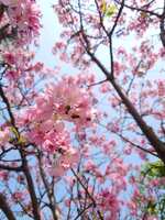 https://images.plurk.com/34VUYwALAoAn8ct7tw4iua.jpg