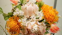 https://images.plurk.com/34Y7wsjhtRdQC54jgYa3E7.jpg