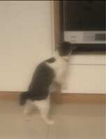 https://images.plurk.com/35616DyEWIauqQ8WUyWBnk.jpg
