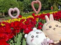 https://images.plurk.com/357hgQIb4rErdAe6Ofxhvd.jpg