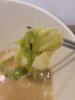 https://images.plurk.com/358qHWhG0Hhzb2FLDEHKhm.jpg