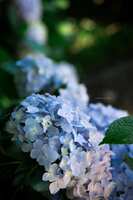 https://images.plurk.com/35C4swLczKUwdSQ1jANQnR.jpg