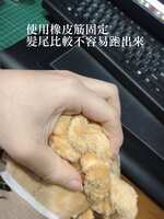 https://images.plurk.com/35DWgh8MXMkYU7zkjEr0ZP.jpg