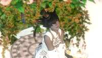 https://images.plurk.com/35Dmu78FsfpFOx9ZLL0ACE.png