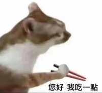 https://images.plurk.com/35QMH51BYNQQYwgdFkAQbA.jpg