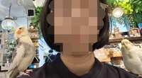 https://images.plurk.com/35RXpOJttnMIjcGcydKDJY.jpg