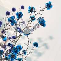 https://images.plurk.com/35Twi8d8A01tb5lOmITKpn.jpg