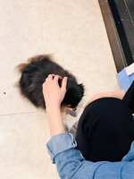 https://images.plurk.com/35YusI6LG1TcTtD6e1bu52.jpg