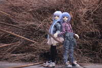 https://images.plurk.com/35cpaA5KDI9f6qYLEddsih.jpg