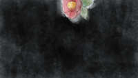 https://images.plurk.com/35jcb9q2IH1tlZXT2NeWG9.jpg