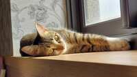 https://images.plurk.com/35laBGVvyM6bqhf0a6LOZn.jpg