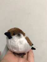 https://images.plurk.com/35loRHZszXwh71pAQaltW2.jpg