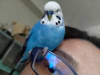 https://images.plurk.com/35mD83TPpXe5hErWNuRoLQ.jpg