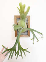 https://images.plurk.com/35nwngEAOabtAOa1GHaOEz.jpg