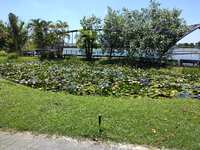 https://images.plurk.com/36D8jmCeiCPP7vJwCxd5Gx.jpg