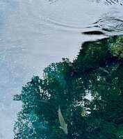 https://images.plurk.com/36DQTLCJ94JJsHCpyFCO6X.jpg