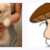 https://images.plurk.com/36EKOgrt2tIP0AWa5LLfZh.png