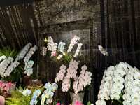 https://images.plurk.com/36K1GpZYhdcn5qd3slz4EC.jpg