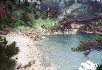 https://images.plurk.com/36Nb7PYEad9LoH9ws2PQrH.jpg